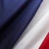 Tech London Advocates抨击法国数字服务税