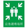 法人标识符时间戳产品标识符和执行地点数据