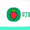 丁咚买菜 完成B3轮融资 投资方是中国文化产业基金