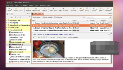 Linux最佳新闻阅读器应用程序