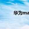 华为mate 40 pro（华为mate）