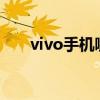 哪款vivo手机好用性价比高(VIVO)