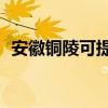 安徽铜陵可提供TCL冰箱维修服务地址在哪