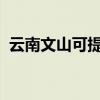 云南文山可提供新飞冰箱维修服务地址在哪