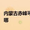 内蒙古赤峰可提供海信洗衣机维修服务地址在哪