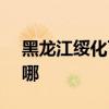 黑龙江绥化可提供SKG冰箱维修服务地址在哪