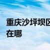 重庆沙坪坝区可提供东芝洗衣机维修服务地址在哪