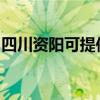 四川资阳可提供东芝洗衣机维修服务地址在哪