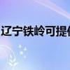 辽宁铁岭可提供志高洗衣机维修服务地址在哪