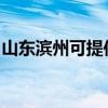 山东滨州可提供诺科壁挂炉维修服务地址在哪