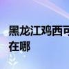 黑龙江鸡西可提供格兰仕洗碗机维修服务地址在哪