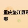 重庆垫江县可提供小田清洁机维修服务地址在哪