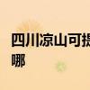 四川凉山可提供德意抽油烟机维修服务地址在哪