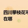 四川攀枝花可提供林内抽油烟机维修服务地址在哪