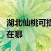 湖北仙桃可提供万家乐抽油烟机维修服务地址在哪