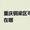 重庆铜梁区可提供德意抽油烟机维修服务地址在哪