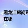 黑龙江鹤岗可提供澳柯玛电饭煲维修服务地址在哪