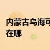 内蒙古乌海可提供澳柯玛电饭煲维修服务地址在哪