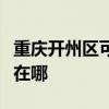 重庆开州区可提供格兰仕电饭煲维修服务地址在哪