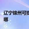 辽宁锦州可提供澳柯玛电饭煲维修服务地址在哪