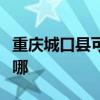 重庆城口县可提供东菱电饭煲维修服务地址在哪