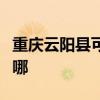重庆云阳县可提供东菱电饭煲维修服务地址在哪