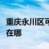 重庆永川区可提供格兰仕电饼铛维修服务地址在哪