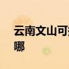 云南文山可提供SKG电饭煲维修服务地址在哪