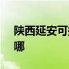 陕西延安可提供SKG电饭煲维修服务地址在哪