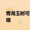 青海玉树可提供SKG电饭煲维修服务地址在哪