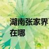 湖南张家界可提供SKG电饭煲维修服务地址在哪