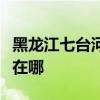黑龙江七台河可提供洛贝电饭煲维修服务地址在哪