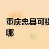 重庆忠县可提供格兰仕电饼铛维修服务地址在哪