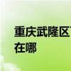 重庆武隆区可提供SKG电饼铛维修服务地址在哪