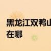 黑龙江双鸭山可提供康佳电饼铛维修服务地址在哪