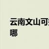 云南文山可提供SKG电饼铛维修服务地址在哪
