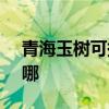 青海玉树可提供SKG电饼铛维修服务地址在哪