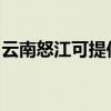 云南怒江可提供康宝电饼铛维修服务地址在哪