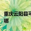 重庆云阳县可提供奔腾电饼铛维修服务地址在哪