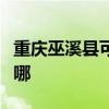 重庆巫溪县可提供康宝电饼铛维修服务地址在哪
