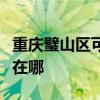 重庆璧山区可提供奔腾电压力锅维修服务地址在哪