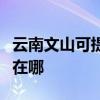云南文山可提供荣事达电压力锅维修服务地址在哪