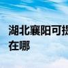 湖北襄阳可提供飞利浦电压力锅维修服务地址在哪