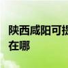 陕西咸阳可提供飞利浦电压力锅维修服务地址在哪