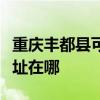 重庆丰都县可提供飞利浦电压力锅维修服务地址在哪