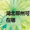 湖北鄂州可提供SKG电压力锅维修服务地址在哪
