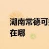 湖南常德可提供SKG电压力锅维修服务地址在哪