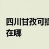 四川甘孜可提供每时乐电压力锅维修服务地址在哪