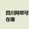 四川阿坝可提供SKG电压力锅维修服务地址在哪