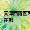 天津西青区可提供龙的电压力锅维修服务地址在哪